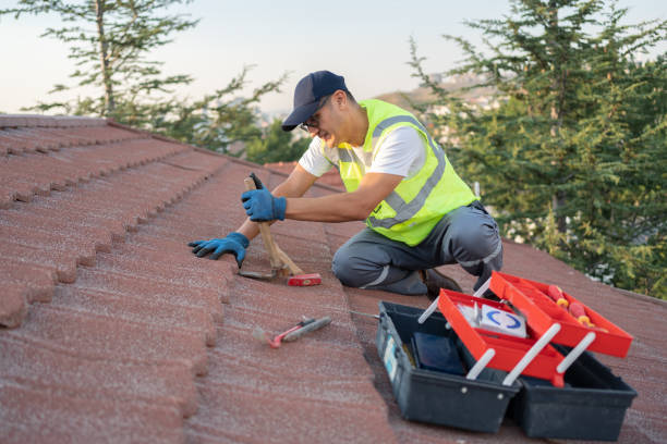 Best Roof Leak Repair  in Thorntown, IN